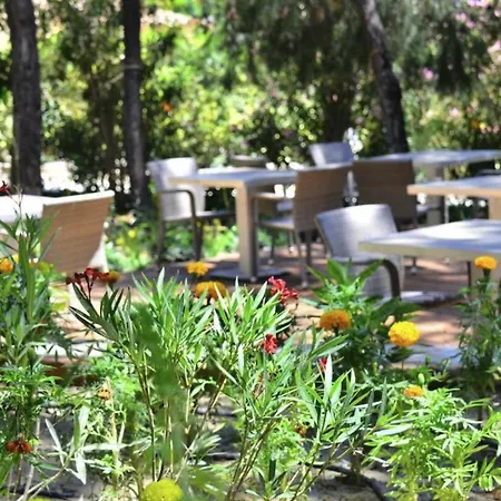 Apartamento Pine Villas & *