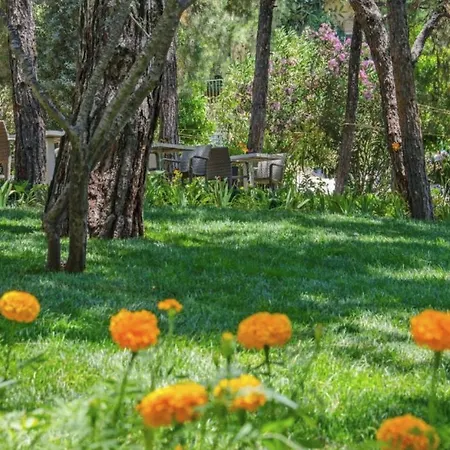 Pine Villas & דירה קוסדסי