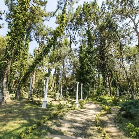 דירה Pine Villas & קוסדסי